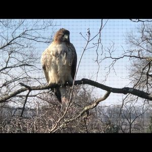 Meet your Posher, Kris